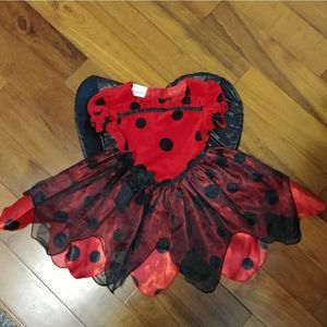 SOLD Miniwear Ladybug Costume 18 months